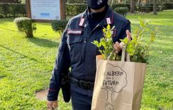 Nasce un grande bosco diffuso, a Palermo distribuite le piantine di Falcone