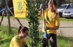 Festa dell'albero 2024, tutti gli appuntamenti di Legambiente nel Lazio