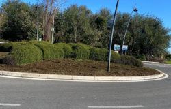 Palidoro, nuovo look per le aiuole dei giardini