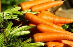 carote e verdure