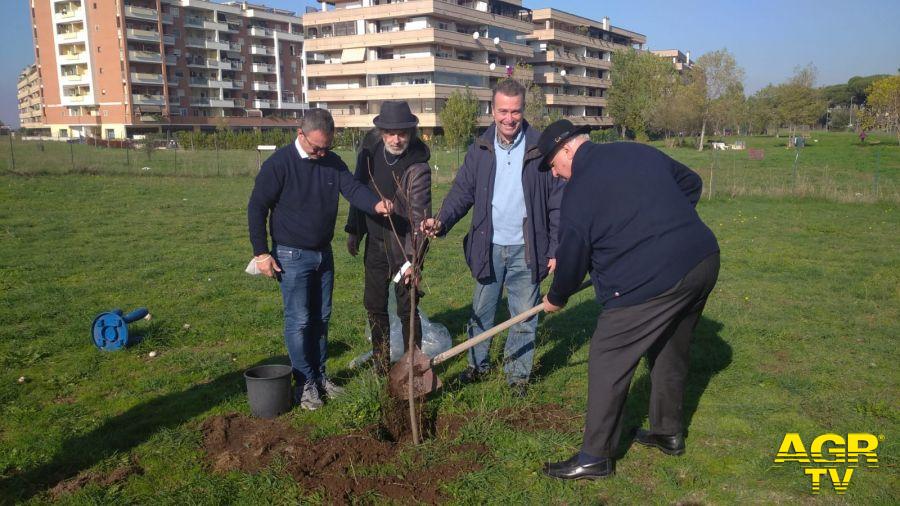 associazione piantano albero di fico associazione piantano albero di fico