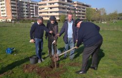 Giornata nazionale degli alberi, associazioni e cittadini insieme per piantumare un albero nel VI Municipio