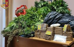 Serra indoor di marjuana a Primavalle, sequestrati 21 kg. di droga e dieci pusher in manette