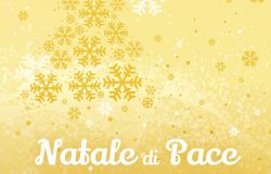 Pomezia torna a festeggiare il Natale, dall'8 dicembre al 6 gennaio spettacoli, concerti e animazione per le strade