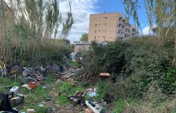 Ostia, nella pineta dell'acque rosse compare una nuova baraccopoli