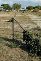 Parco della Garbatella - Vandali Parco della Garbatella - Vandali