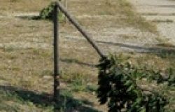 Legambiente: Sopralluogo al Parco Garbatella