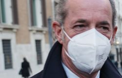 Luca Zaia - Presidente della Regione Veneto