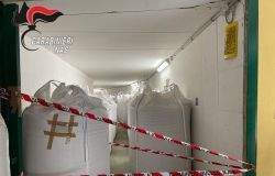 eseguito maxi sequestro di avena presso un mulino della Val Sangone