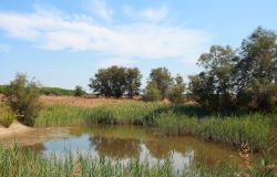 World Wetland Day il prossimo 2 febbraio