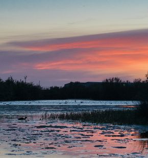 Ostia, Una riserva di bellezza festa dedicata alla Riserva del Litorale romano Ostia, Una riserva di bellezza festa dedicata alla Riserva del Litorale romano