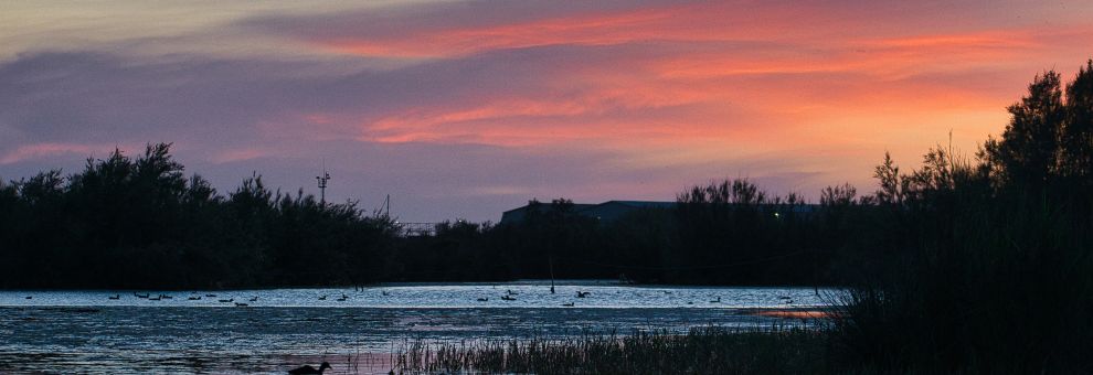 Ostia, Una riserva di bellezza festa dedicata alla Riserva del Litorale romano Ostia, Una riserva di bellezza festa dedicata alla Riserva del Litorale romano