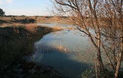 World Wetlands Day, Pomezia celebra la biodiversità locale