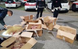 Prato- Animali macellati e trasportati clandestinamente e senza protocolli sanitari, due denunciati.