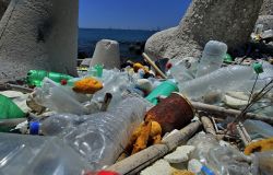 WWF, allarme plastica, inquinamento oceano quattro volte maggiore entro il 2050