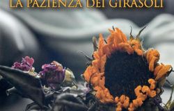 La pazienza dei girasoli....il nuovo libro di Giovanna Avignoni