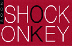 SHOCK THE MONKEY L’EVENTO PER FARE BUSINESS  IN MODO NUOVO