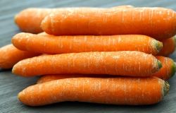 Maccarese, carote D.O.C.....presentato il Comitato promotore della carota IGP