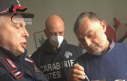 carabinieri l'esemplare ritrovato in aeroporto ed accudito dai militari