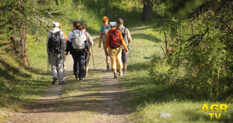 Comune di Bagno a Ripoli Bagno a Ripoli - Gruppo Trekking Bagno a Ripoli, domenica escursione per festeggiare 35 anni in cammino