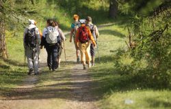 Bagno a Ripoli - Gruppo Trekking Bagno a Ripoli, domenica escursione per festeggiare 35 anni in cammino