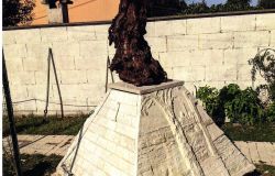 Ardore di forma nell'arte di Giuseppe Faella