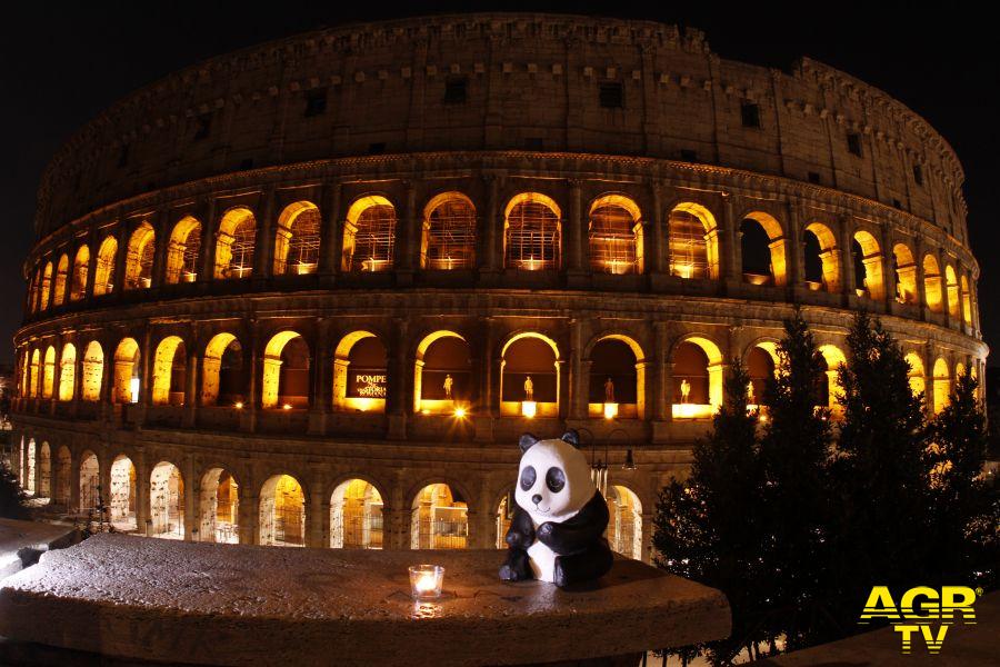 Roma Colosseo ph credit E.Coppola wwf Italia