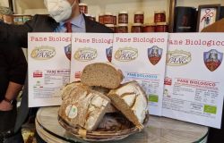 Nasce il primo pane biologico 100% made in Montemurlo