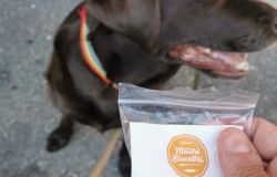 Biscottai biscotti premio per cani