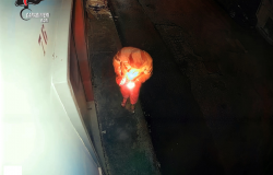 fotogramma da filmato carabinieri