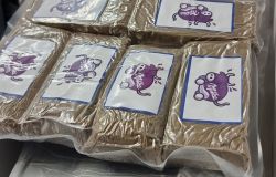 Roma, traffico di droga, 14 arresti, sequestrato 1 kg e 200 grammi di droga