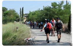 Il mito di San Nicola diventa un film e promuove la via Nicolaiana, cammino storico-religioso