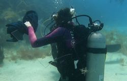 Krillantix artista di Gaeta incisioni a 12 metri di profondità