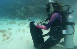 Krillantix artista di Gaeta incisioni a 12 metri di profondità