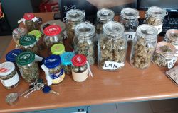 Anzio, mezzo kg. di marjuana in casa, ai domiciliari pusher 28enne