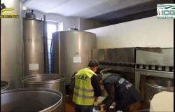 Operazione Verum et Oleum olio extravergine d’oliva. Oltre 2,3 milioni di litri irregolari: controlli congiunti ICQRF e Guardia di Finanza