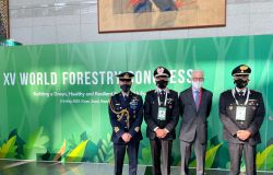Seoul XV Congresso Mondiale Foreste