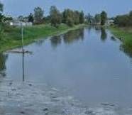 Canale bonifica Canale bonifica