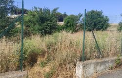 Incendi ad Aranova, il consigliere comunale Severini ha una teoria per la prevenzione: prioritario bonificare le aree verdi
