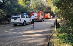 Ostia, a Castelfusano tornano le fiamme, bruciati dieci ettari di sottobosco