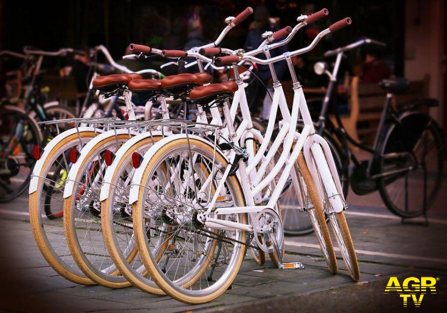 biciclette foto pixabay