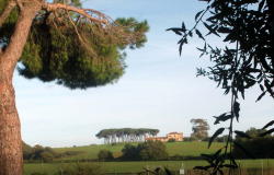 Anzio, l’area della Vignarola inclusa nella Riserva di Tor Caldara