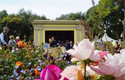 Livorno - Harborea, Festa delle Piante e dei Giardini , undicesima edizione. Parco di Villa Mimbelli, 7,8,9 ottobre 2022