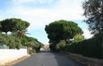 Ostia, riapre via dei Pescatori Ostia, riapre via dei Pescatori