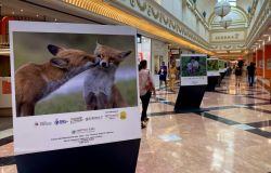 Eur, inaugurata la “100 anni del Parco nazionale d'Abruzzo, Lazio e Molise”