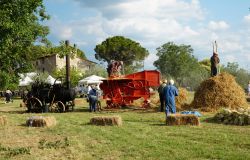 Bagno a Ripoli - All’Antella torna la Festa della battitura del grano