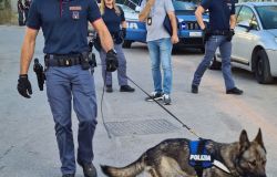 Anzio, blitz della polizia nelle case popolari di corso Italia, sgomberi e sequestro di droga, un arresto