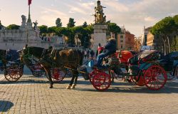 Roma, più diritti agli animali, via libera all'istituzione del Garante