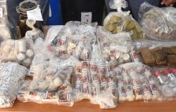 Velletri, due arresti per droga, in un capannone oltre 730 kg. di stupefacente