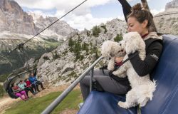 Vacanze a Cortina....anche i cani facilmente in alta quota con seggiovie e funive